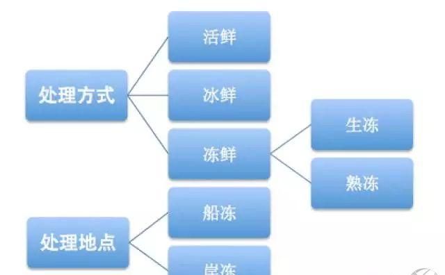 谈谈鲜活冰鲜冷冻海鲜,冻海鲜怎么提鲜图2