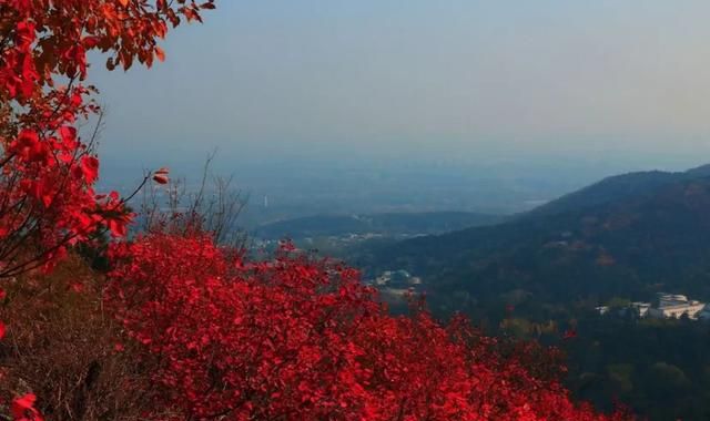 香山为什么叫香山,香山是怎么来的图8