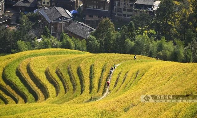 广西在建机场项目(广西未来的交通枢纽)图8