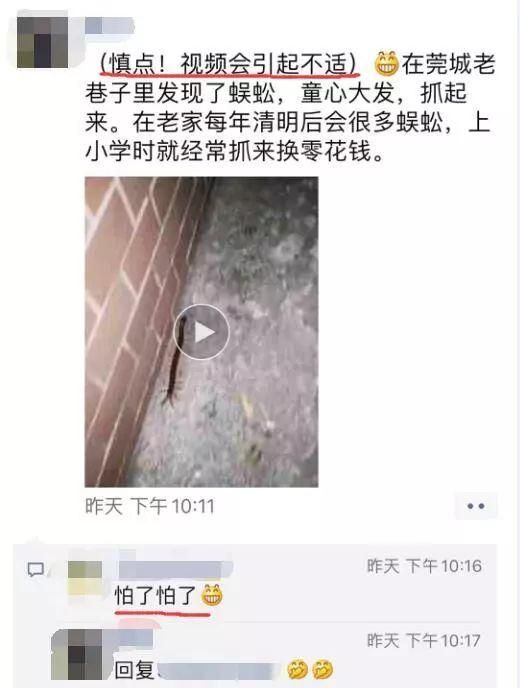 抓毒蜈蚣(徒手抓蜈蚣被咬)图6