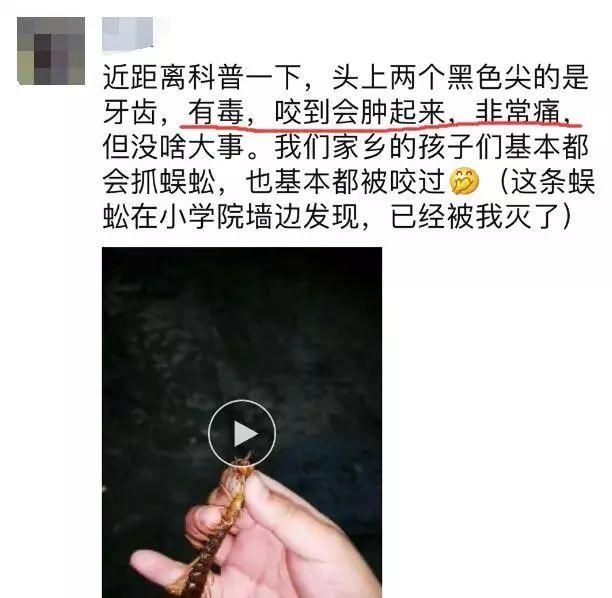 抓毒蜈蚣(徒手抓蜈蚣被咬)图8