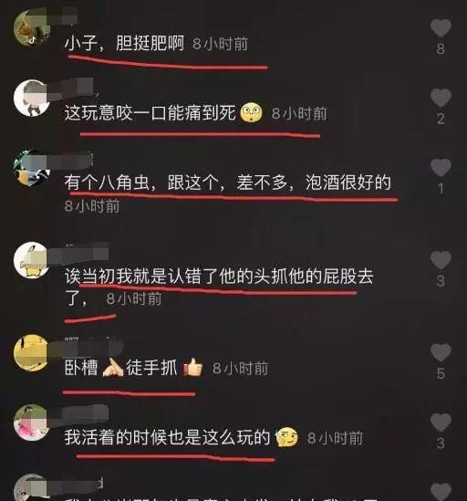 抓毒蜈蚣(徒手抓蜈蚣被咬)图13