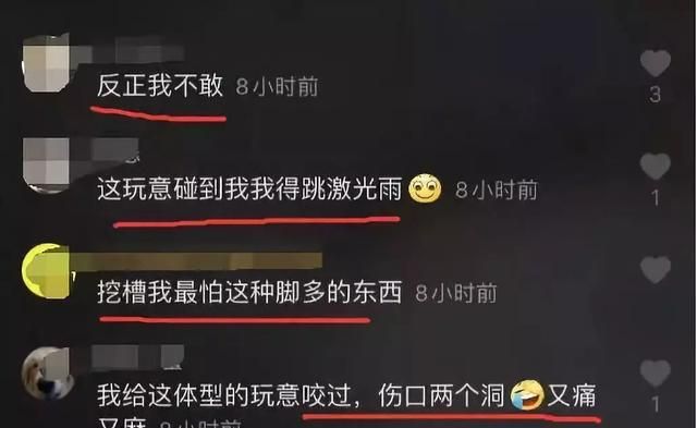 抓毒蜈蚣(徒手抓蜈蚣被咬)图14