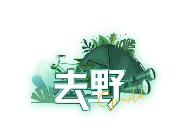 秋天露营需要准备什么(秋天自带装备露营)图1