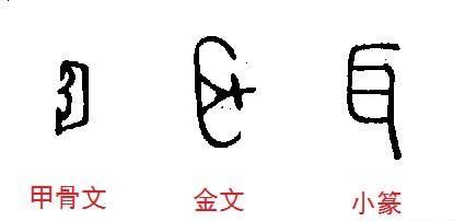 造字六法代表字(造字方法六书指的是)图2