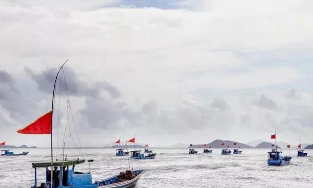 杭州的海鲜来自哪里(杭州开渔)图24