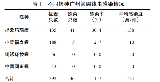 厦门雨后出现大蜗牛别碰别吃别养图5