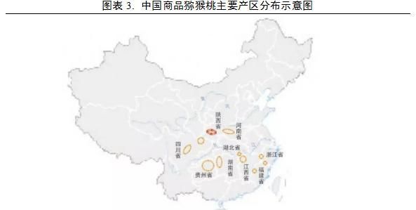 猕猴桃糖度多少可以采摘(阳光金果猕猴桃糖度多少可以采摘)图4