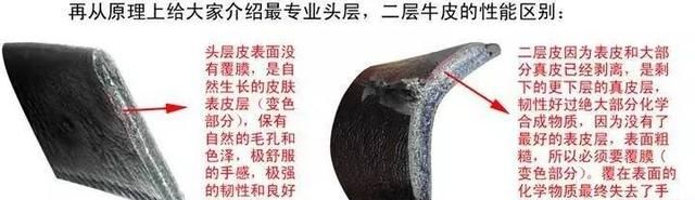 认识皮革的真假优劣全面分析(皮革的真假怎么识别)图27