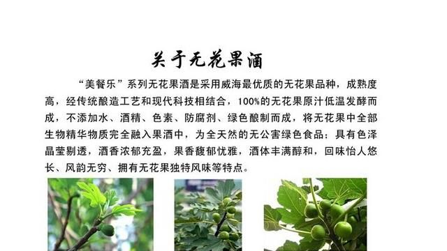 无花果酒的神秘功效与酿酒技术图2