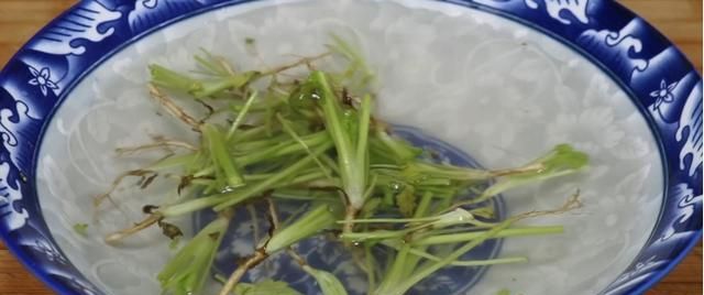 香菜放锅里煮一煮,香菜放进锅内煮一煮图3