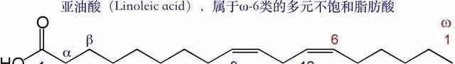 富含亚油酸的植物油吃多了图2
