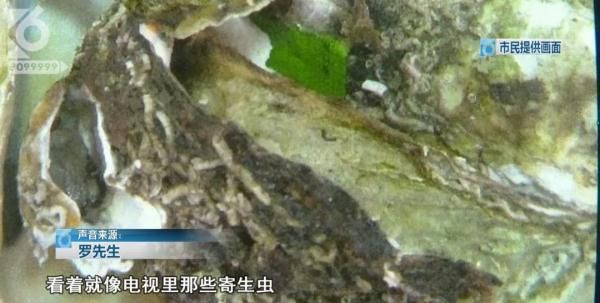 烤生蚝有寄生虫吗,生蚝寄生虫显微镜图3