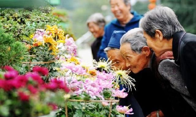 重阳节,有三大风俗,你知道几个吗图5