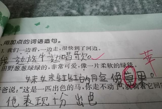 小学生有什么搞笑的行为,小学生的奇葩作业搞笑图2