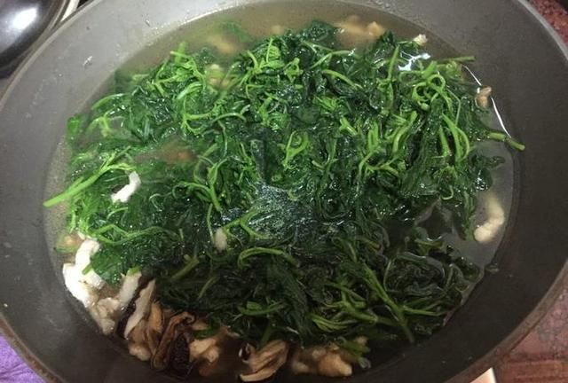 野生龙葵菜能吃吗(野菜龙葵怎么食用)图3