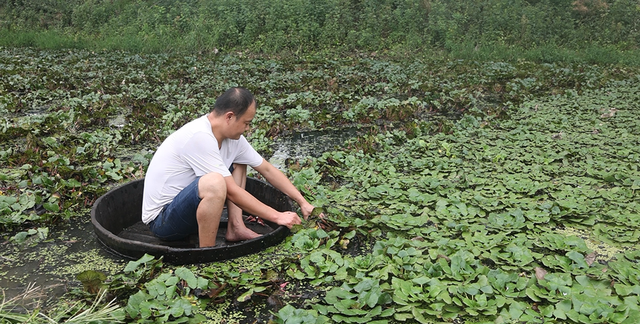 炒荷塘三宝做法大全(荷塘三宝小炒)图7