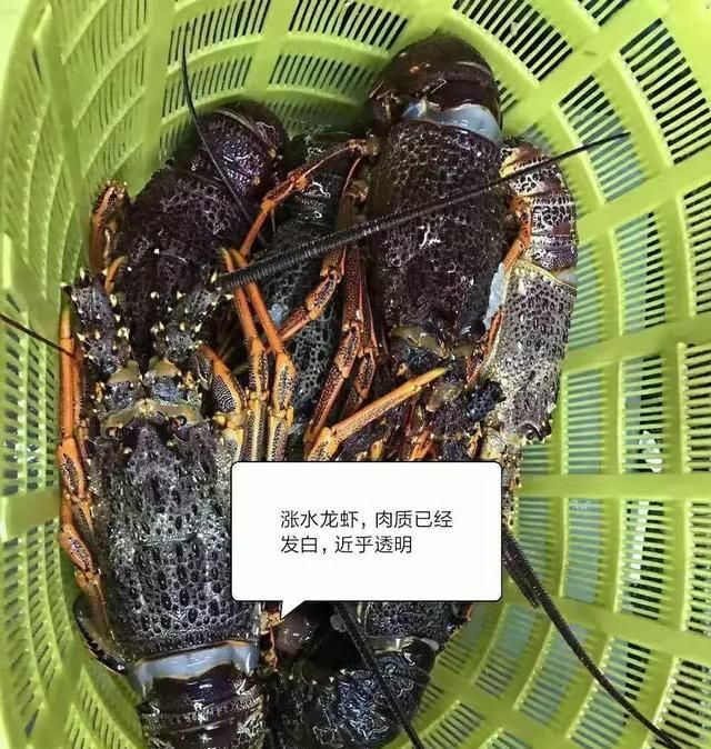 海鲜黑市有什么猫腻,揭秘海鲜暴利图2