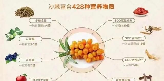 沙棘是什么东西有哪些功效图4