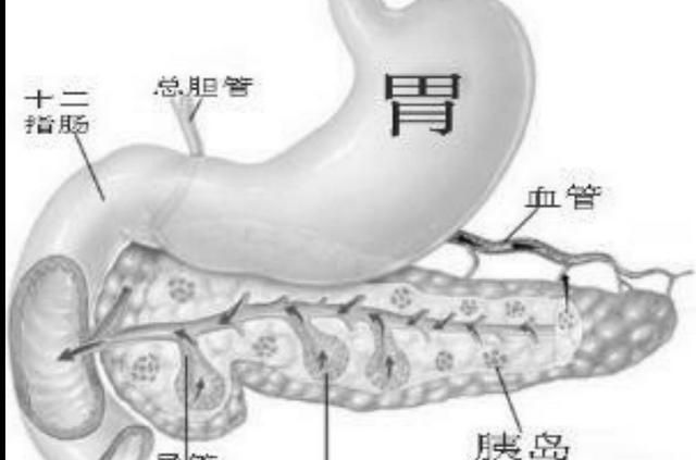 胰腺炎怎么治疗,胰腺炎怎么治疗最快最好图2