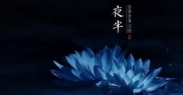 十二时辰在古代怎么说,十二时辰精美语录图6