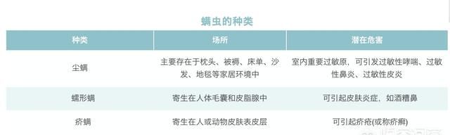 螨虫虽小危害可不少,日常生活中该如何除螨呢图1