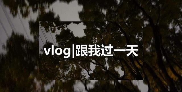 生活vlog有什么好的素材推荐图1