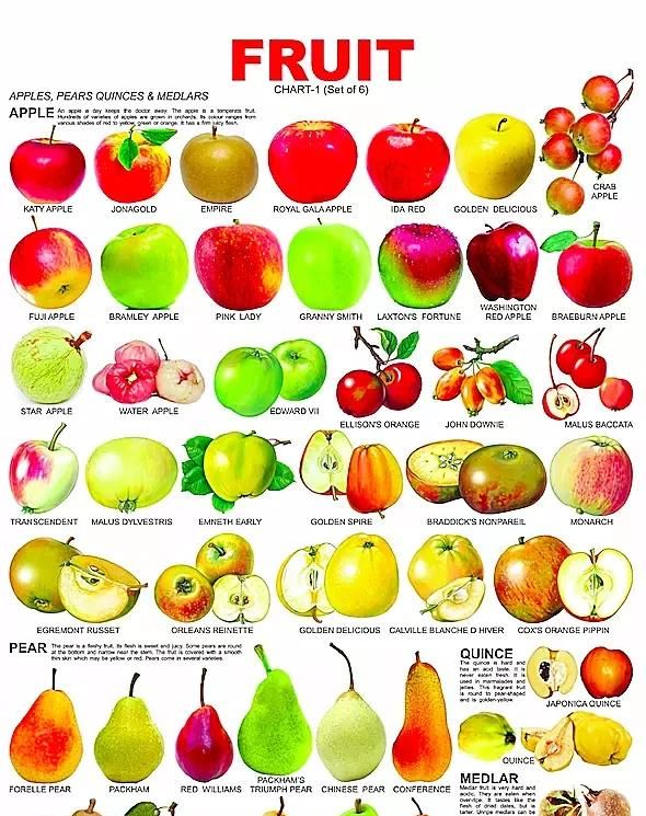 橘子不是orange吗,橘子和orange有什么区别图10