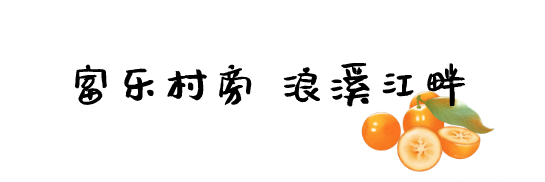 软糯香甜金桔真好吃(脆甜不麻嘴滑皮金桔)图11