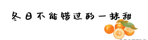 软糯香甜金桔真好吃(脆甜不麻嘴滑皮金桔)图24