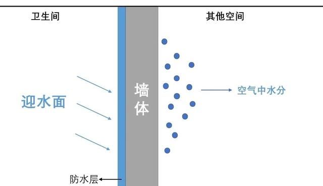 还有哪些防潮除霉大法(防潮除霉攻略)图15