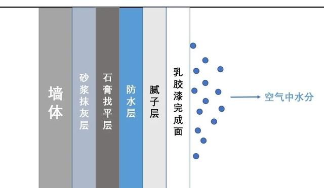 还有哪些防潮除霉大法(防潮除霉攻略)图16