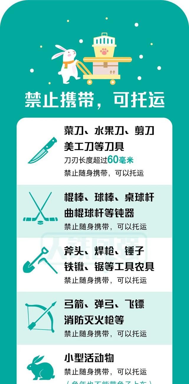 坐火车出门旅游必带物品(假期出游这六条提示要看清楚)图12