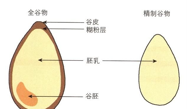 全谷物食物是什么好处竟然这么多图2