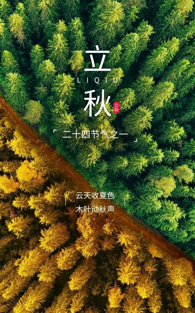 立秋祝福语简短精辟短句今日立秋图3