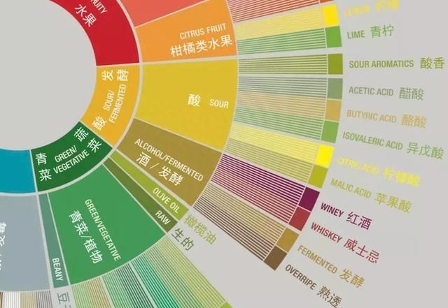 咖啡里都有哪些类型的酸类(咖啡有点酸是怎么回事)图4