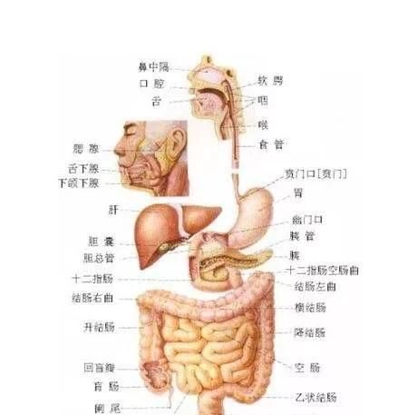 如何维护医护关系(维护医护双方合法权益)图1