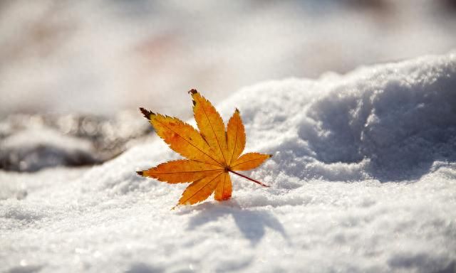 大雪节气暖心祝福文案朋友圈句子图2