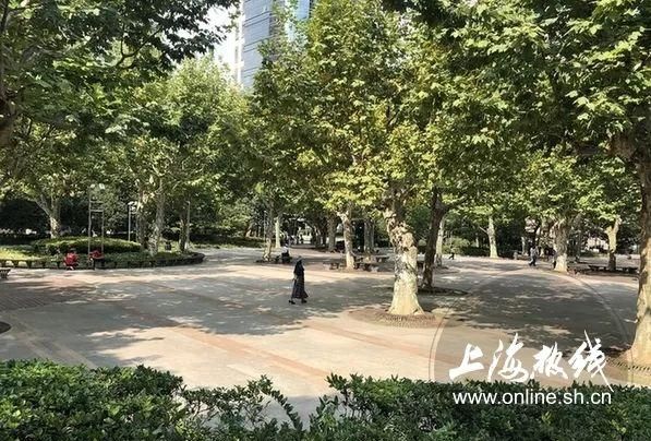 淮海路上的公园,格调高雅独具魅力的美丽公园图25