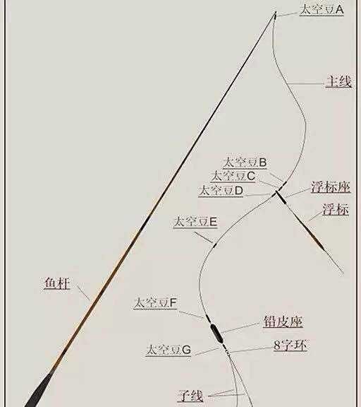 钓鱼初学者需要哪些基本知识和技能图3