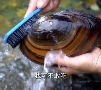 烤河蚌的做法窍门,竹筒饭烤河蚌的做法图2