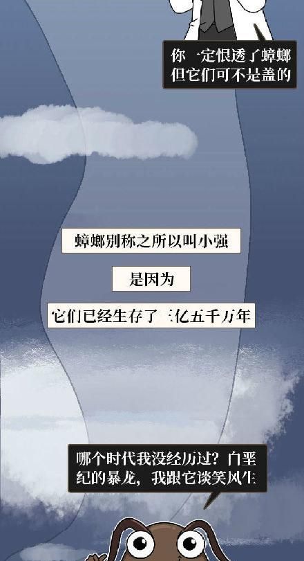 蟑螂危害多5个有效灭蟑螂的方法图6