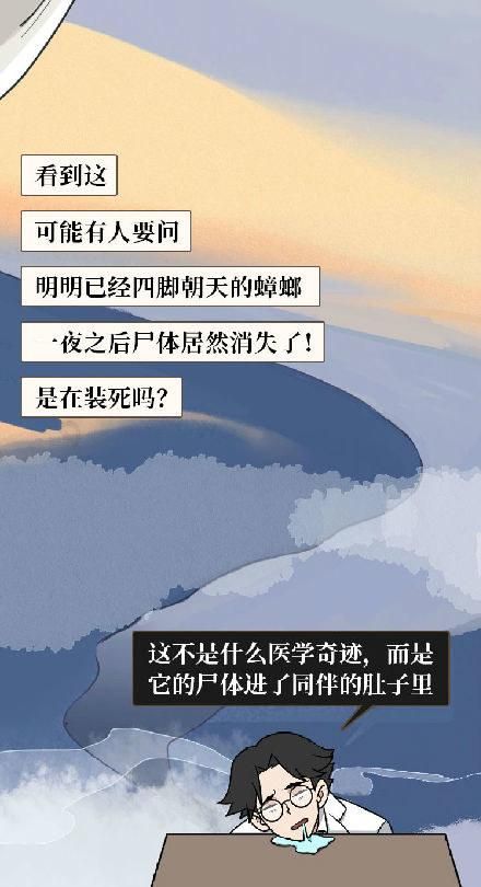 蟑螂危害多5个有效灭蟑螂的方法图16