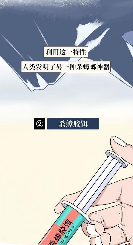 蟑螂危害多5个有效灭蟑螂的方法图17