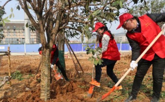 绿肺植树节(全国多地开展植树节活动)图1