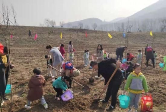 绿肺植树节(全国多地开展植树节活动)图3