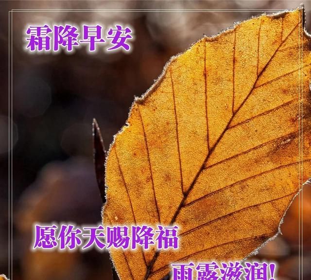 霜降时节早安祝福语图片大全图3