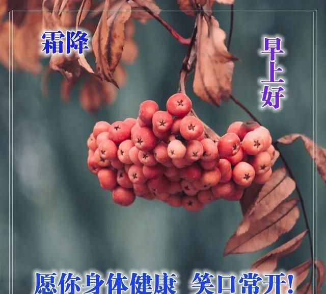 霜降时节早安祝福语图片大全图5