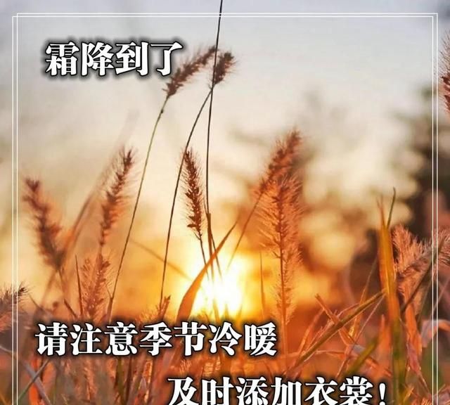 霜降时节早安祝福语图片大全图9