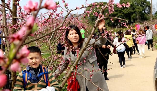 三月桃花节看桃花盛开(三月十五看桃花节)图3